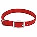 Westminster Pet Products PE223995 Dog Collar, Adjustable, Red Nylon, 3/4 x 17 to 20-in. - Quantity 3