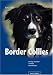 Image of Border Collies. Richtig verstehen, erziehen, beschäftigen