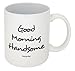 Funny Guy Mugs Good Morning Handsome Ceramic Coffee Mug - 11oz - Ideal Funny Coffee Mug for Women and Men - Hilarious Novelty Coffee Cup with Witty Sayings