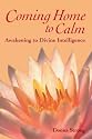 Coming Home to Calm: Awakening to Divine Intelligence