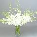 Long Stem Liberty White Dendrobium Orchid Flowers