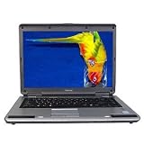 Toshiba Dual-Core 1.73GHz 1GB 80GB DVD RW 15.4-Inch Vista