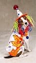 Class Clown Dog Costume - MEDIUM