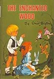 The Enchanted Wood