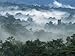 Rain Forest, from Lubaantun to Maya Mountains, Belize, Central America Photographic Poster Print by Upperhall, 12x9