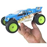 Team Losi