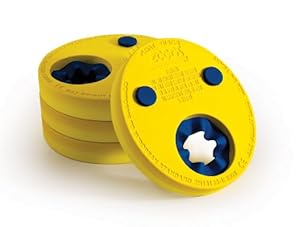 Zoggs Kids Float Discs Learn to Swim Arm Band - Yellow, 2-6 Years