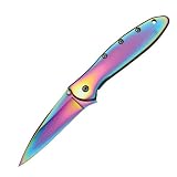 Kershaw Knives - K.O. Leek, Rainbow Titanium Coated Handle & Blade, Plain