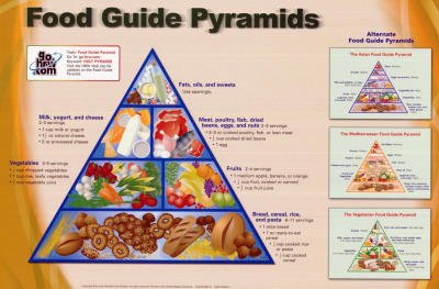 food pyramid