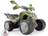 Quad Mantis 12v Powered Ride-On Car