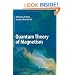 Quantum Theory of Magnetism