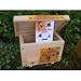 Bumble Bee Nesting Box