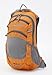 DAKINE Amp 12L (Black)