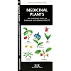 Medicinal Plants: An Introduction to Familiar Widespread Species (North American Nature Guides)