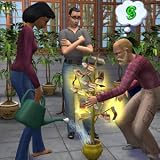 Sims 2 (PC DVD)