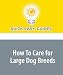 How To Care for Large Dog Breeds
