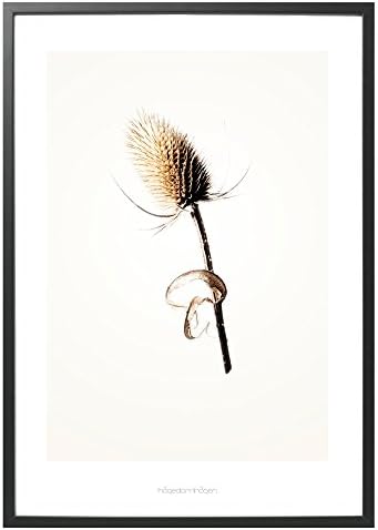 Hagedornhagen Art Print - 'Gold' Series #4-16.5" x 23.2
