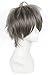 ROLECOS Mens Short Straight Anime Cosplay Wigs Fluffy Synthetic Hair Wig Grey JF532