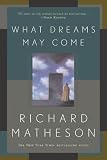 What Dreams May Come: A Novel