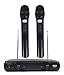 EMB Pro EBM10W Professional Dual VHF Wireless Handheld Microphone System