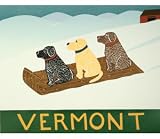 Vermont Sled Dogs