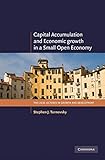 Capital accumulation and economic growth in a small open economy