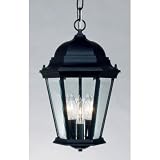 Hamilton - 3 Light Medium Outdoor Lighting Pendant Fixture - Black - Clear Beveled Glass - B1260