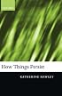 How Things Persist