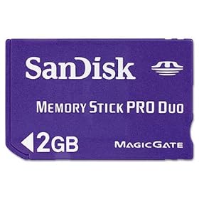 3 Pack Memory Stick PRO Duo, 2GB by SDI (Catalog Category: Computer/Supplies & Data Storage / Data Storage)