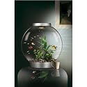 Biorb Aquarium Kit & Light 60LTR