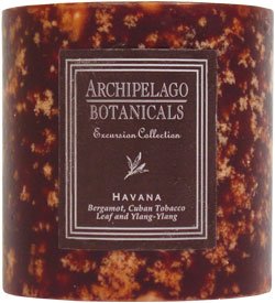 Archipelago Botanicals Excursion Collection Candle Pillar ( 3.5 in L x 3.5 in W ) Havanna