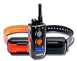Dogtra FieldStar Remote Training Collar
