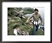 Puffin Catcher, Faroe Islands (Faeroes), Denmark, North Atlantic Collections Framed Art Poster Print by Adam Woolfitt, 22x18