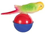 Bobo bird, 6 cm