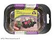Jiffy 5709 Mini Greenhouse
