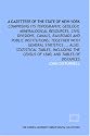 A gazetteer of the state of New-York: comprising its topography, geology, mineralogical resources, civil divisions, canals, railroads and public institutions; ... the census of 1840; and tables of distances