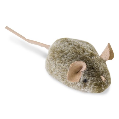 Play-N-Squeak Mouse Hunter