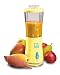 Hamilton Beach 51110 Bebe Single Serve Blender