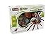Revell X-Ray Tarantula Spider Anatomy Models_s-4