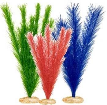 Blue Ribbon Plant - Multipack Soft Foxtail Cluster