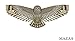 X-Kites Birds of Prey Kite 48