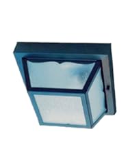 Alico Lighting 4901BK Acclaim Lighting Matte Black Finished Outdoor Flush Mount with Pebbled Glass Shades