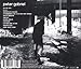 Peter Gabriel Vol.2