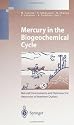 Mercury in the Biogeochemical Cycle: Natural Environment and Hydroelectric Reservoirs of Northern Quebec (Canada