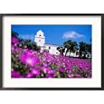 Flowerbed and Junipero Serra Museum, Presidio Park, Old Town, San Diego, United States of America Collections Framed Photographic Poster Print by Richard Cummins, 29x21