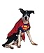 Search : Superman Dog Med