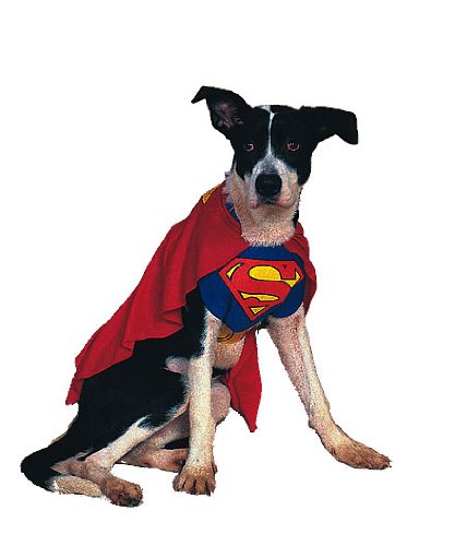 Superman Dog Puppy Deluxe Halloween Costume SMALL