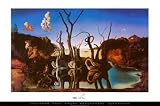 Swans Reflecting Elephants, c.1937 Best Seller Poster Print by Salvador Dali, 36x24