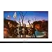Swans Reflecting Elephants, c.1937 Best Seller Poster Print by Salvador Dali, 36x24