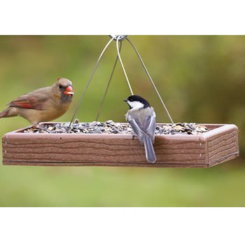 Hanging Buffet Feeder